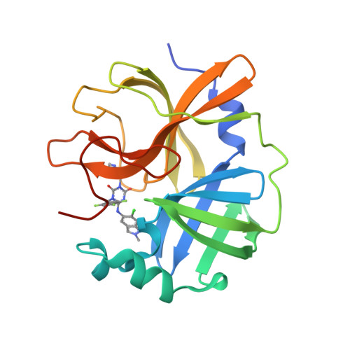 RCSB PDB - 8V8G: Room-temperature X-ray structure of SARS-CoV-2 main ...