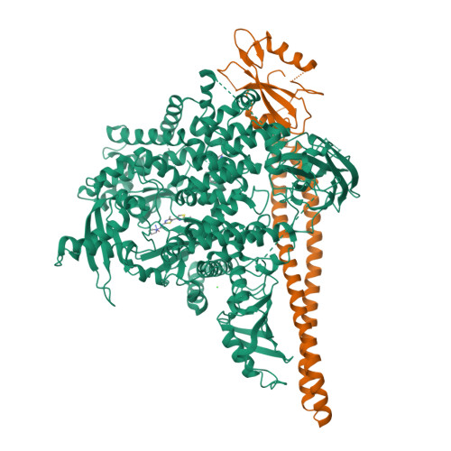 その他 pis 8v8i_assembly-2.jpeg
