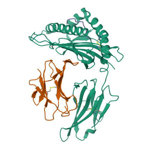 RCSB PDB - 8VCL: Crystal structure of HLA-A*03:01 in complex with