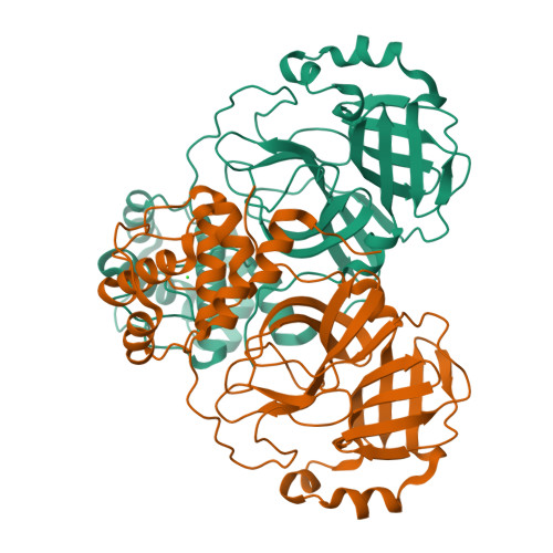 Micro Ed Structure RCSB PDB - 8VD7: MicroED structure of SARS-CoV-2 main protease (MPro ...