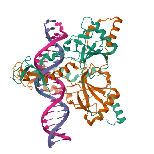 RCSB PDB - 8VF5: CryoEM structure of Ku homodimer in complex with ...