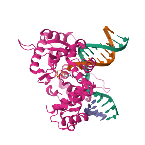 RCSB PDB - 8VFI: Ternary DNA Polymerase Beta bound to DNA containing ...