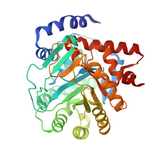 RCSB PDB - 8VHL: Structure of DHODH in Complex with Ligand 17