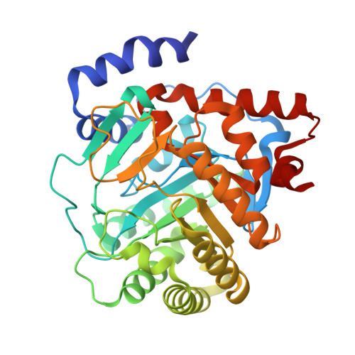 RCSB PDB - 8VHM: Structure of DHODH in Complex with Fragment 2