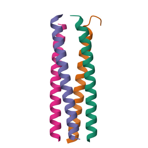 RCSB PDB - 8VHS: X-ray Structure of a De Novo Designed Self Assembled ...