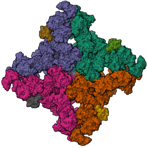 Peptidyl-prolyl cis-trans isomerase FKBP1A structure