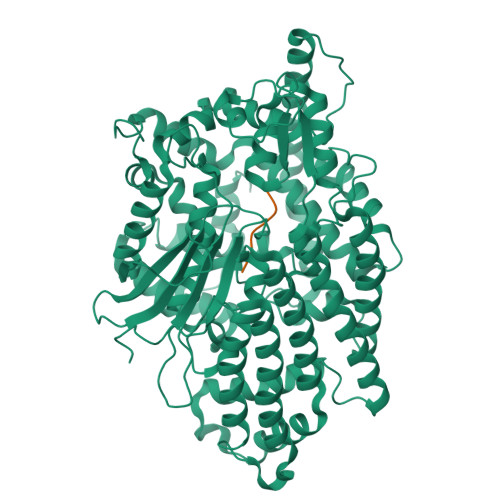 RCSB PDB - 8VJX: Structure of Human Neurolysin in complex with ...