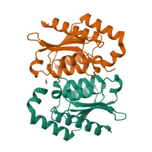 RCSB PDB - 8VLM: Crystal structure of the yeast cytosine deaminase (yCD ...