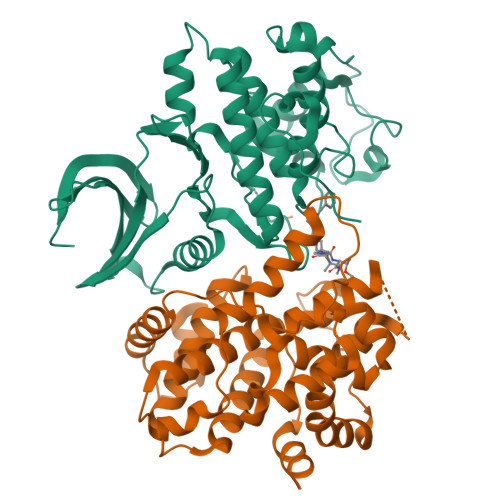 RCSB PDB - 8VQ4: CDK2-CyclinE1 in complex with allosteric