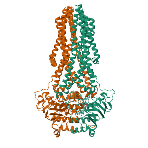 RCSB PDB - 8VSI: Mechanistic Insights Revealed by YbtPQ in the Occluded ...