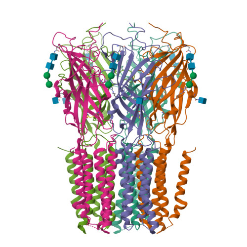 RCSB PDB - 8VSZ: CryoEM structure of human GABAA receptor pi (GABRP ...