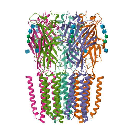 RCSB PDB - 8VV0: CryoEM structure of human GABAA receptor pi (GABRP) in ...