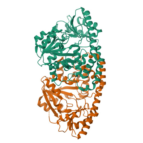 RCSB PDB - 8VXK: Crystal Structure of the Apo Bacillus subtilis GabR C ...