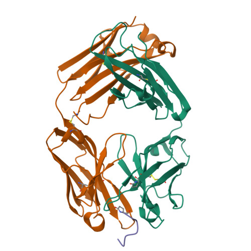RCSB PDB - 8VY4: Engineering a Tumor-Selective Prodrug T Cell