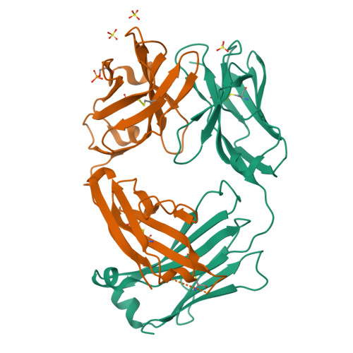 Hu6 Structure RCSB PDB - 8VZW: Structure of humanized MS-Hu6 Fab fragment