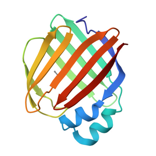 RCSB PDB - 8VZX: Q108K:K40L:T53A:R58F mutant of hCRBPII bound to