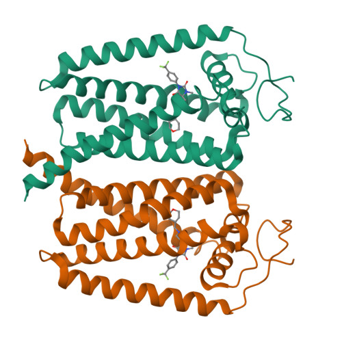 RCSB PDB - 8W0S: Human EBP complexed with compound 3a