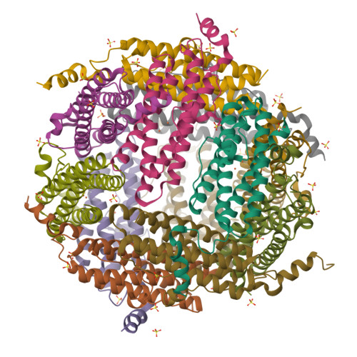 RCSB PDB - 8W1E: Crystal Structure of DPS-like protein PA4880 from ...