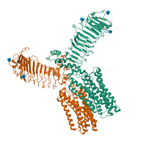 RCSB PDB - 8W1Z: Structure of a LGR dimer from Caenorhabditis elegans ...