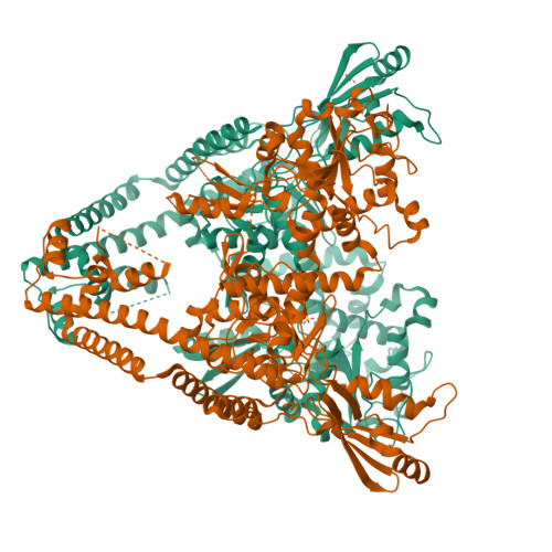 RCSB PDB - 8W50: Crystal structure of DNA binding and cleavage core of ...