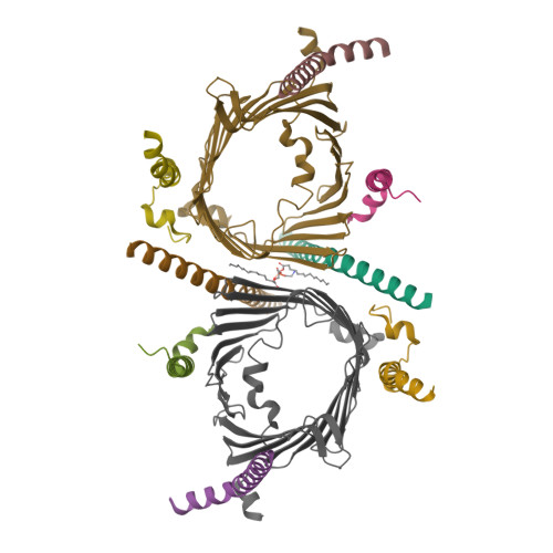 RCSB PDB - 8W5K: Cryo-EM structure of the yeast TOM core complex ...