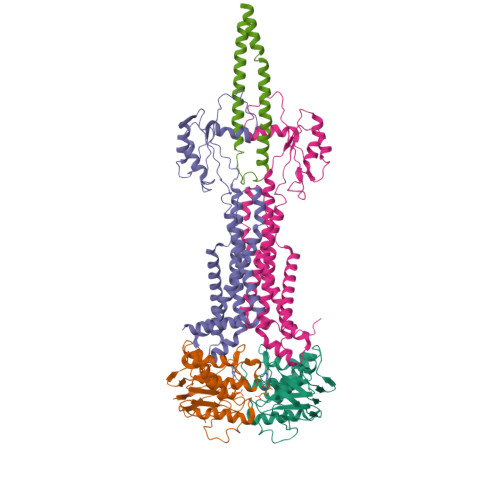 Str Structure RCSB PDB - 8W6J: Cryo-EM structure of Escherichia coli Str K12 FtsE ...