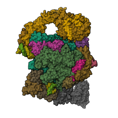 RCSB PDB - 8W8E: human co-transcriptional RNA capping enzyme RNGTT