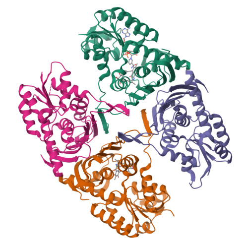 Rscb Frame RCSB PDB - 8W9S: NAD-dependent dehydrogenase