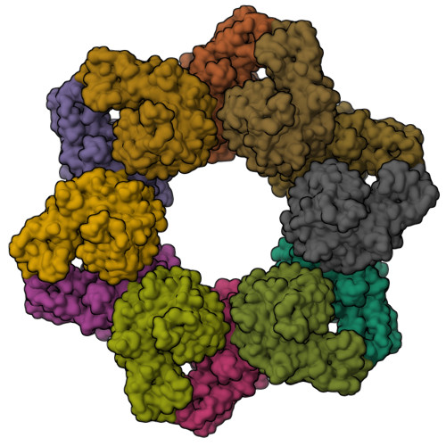 RCSB PDB - 8W9X: Structure of a bacterial protein