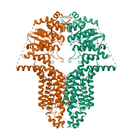RCSB PDB - 8WBA: Cryo-EM structure of the ABCG25 bound to CHS