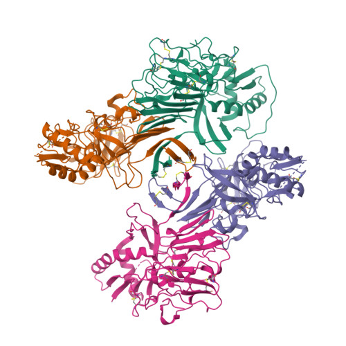 RCSB PDB - 8WBC: CryoEM structure of non-structural protein 1 tetramer ...