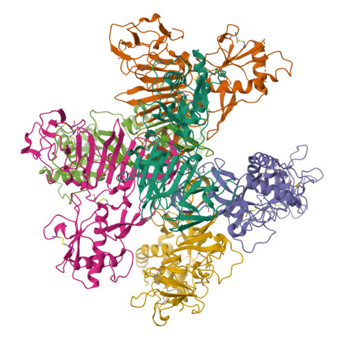 RCSB PDB - 8WBD: CryoEM structure of non-structural protein 1 hexamer 1 ...