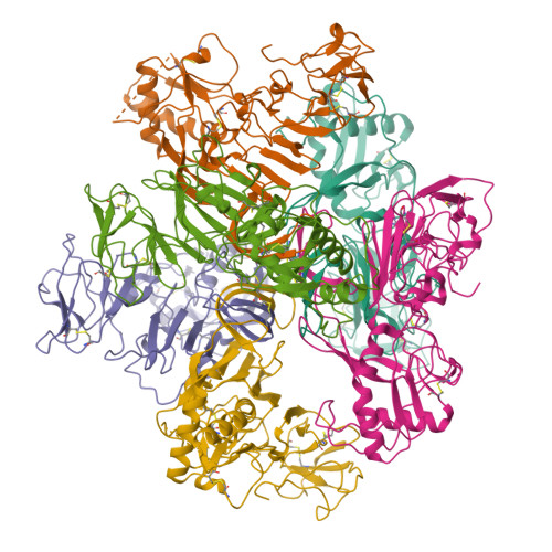 RCSB PDB - 8WBE: CryoEM structure of non-structural protein 1 hexamer 2 ...