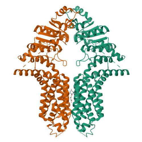 RCSB PDB - 8WBX: Cryo-EM structure of the ABCG25 bound to ABA