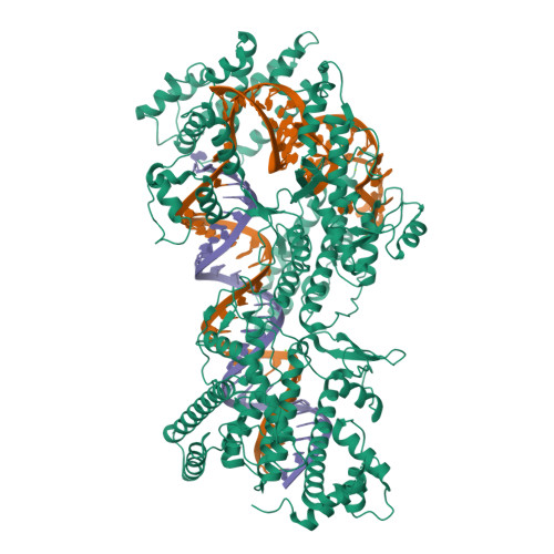 RCSB PDB - 8WCE: Cryo-EM structure of a protein-RNA complex