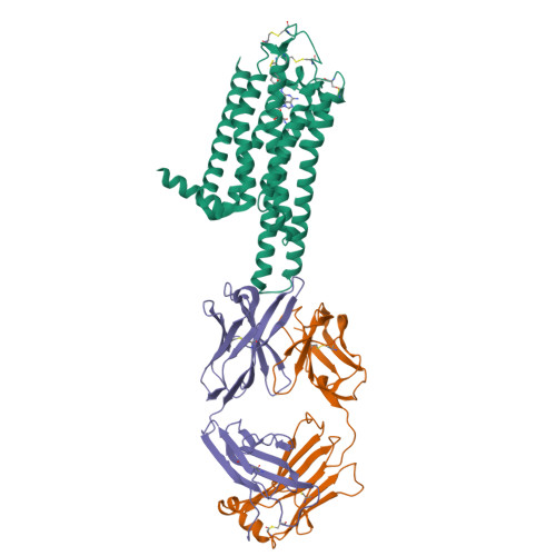 RCSB PDB - 8WDT: Crystal structure of the human adenosine A2A receptor ...