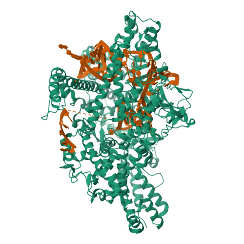 RCSB PDB - 8WF8: Cryo-EM structure of the PspCas13b-crRNA complex
