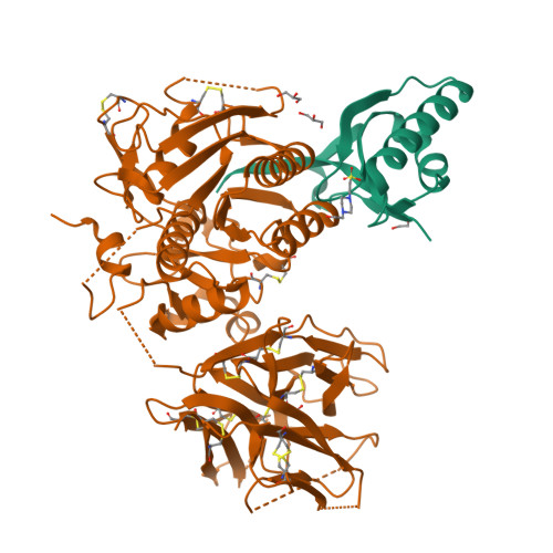 RCSB PDB - 8WFR: The Crystal Structure of PCSK9 from Biortus.