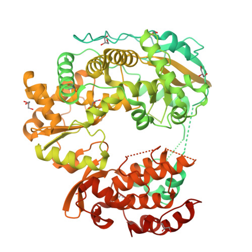 RCSB PDB - 8WIL: Crystal structure of Jingmen tick virus RNA-dependent ...