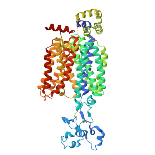 Solute carrier family 22 member 12 structure