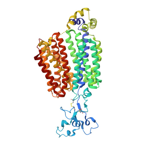 Solute carrier family 22 member 11 structure