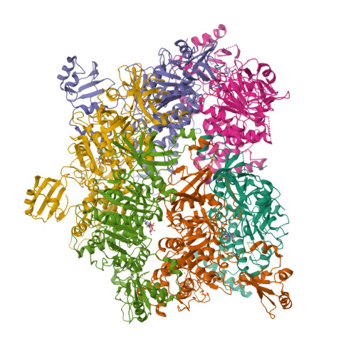 RCSB PDB - 8WK0: Cryo-EM structure of a bacterial protein