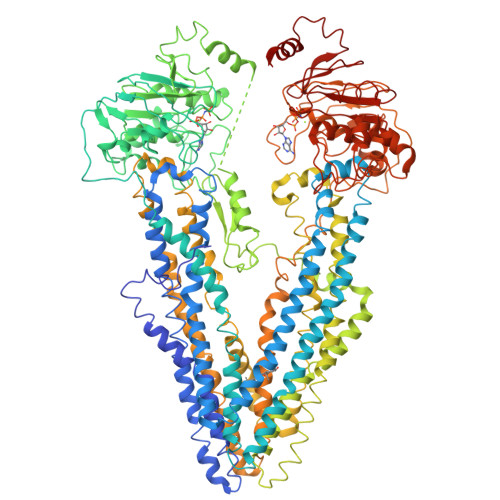 RCSB PDB - 8WOO: Structure of the wild-type Arabidopsis ABCB19 in the ...