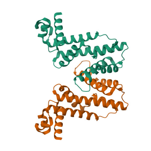 rcsb pdb - 6pt7: structure of kate1 catalase from... RCSB PDB - 8WP6: Crystal structure of a TetR family regulator AmvR from ...