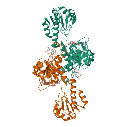 RCSB PDB - 8WPJ: Anabaena McyI with prebound NAD and soaked NAD
