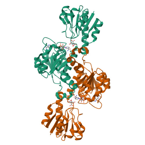 RCSB PDB - 8WPQ: Anabaena McyI R166M with prebound NAD and citrate