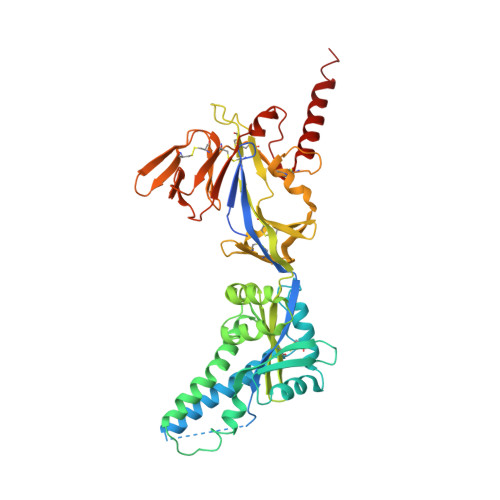 RCSB PDB - 8WSQ: A protective human antibody against respiratory ...