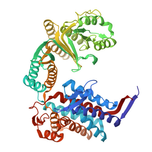 RCSB PDB - 8WU4: Cryo-EM structure of native H. thermoluteolus TH-1 GroEL