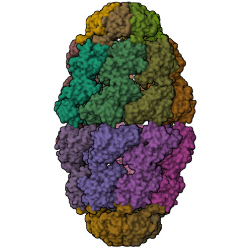 RCSB PDB - 8WUC: Cryo-EM structure of H. thermoluteolus GroEL-GroES2 ...