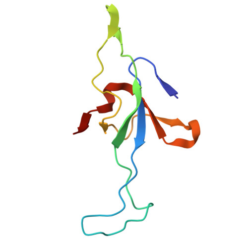 RCSB PDB - 8WUC: Cryo-EM structure of H. thermoluteolus GroEL-GroES2 ...